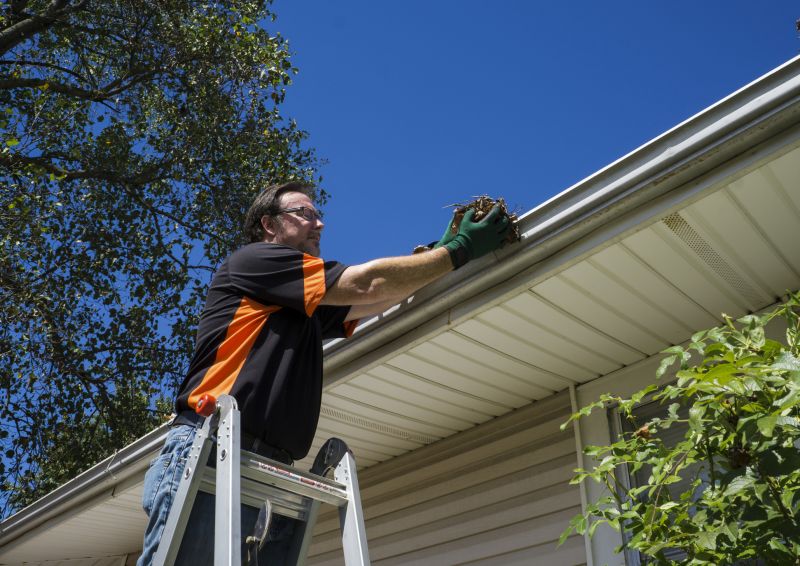 Local Gutter Service Providers